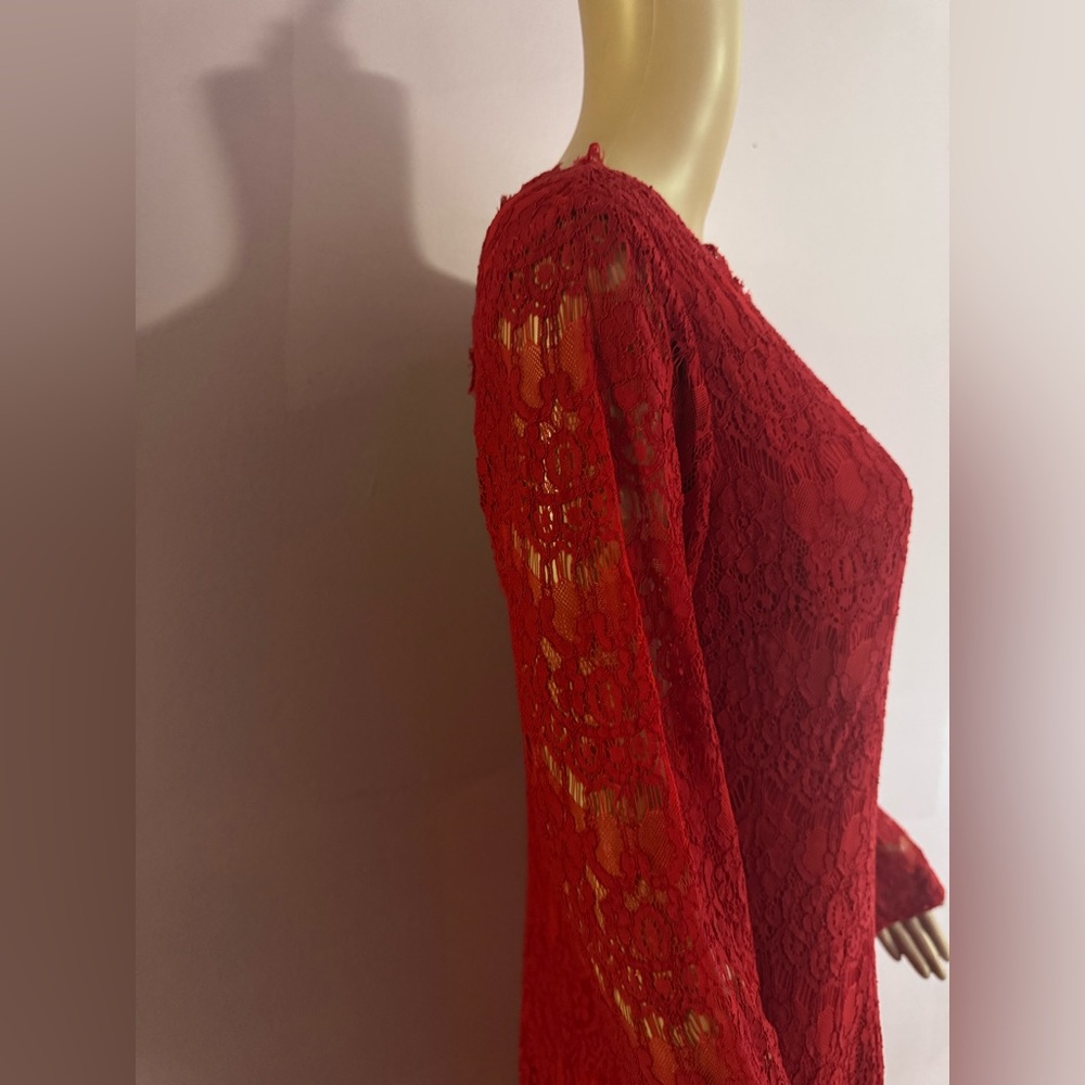 Red Lace Ferrari Dress - Picture 7 of 9